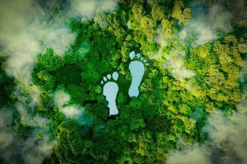 Tìm hiểu về dấu chân carbon và những cách giúp giảm dấu vết của carbon trên hành tinh