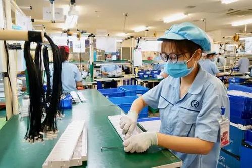 Hà Nội phấn đấu hình thành 10.000 doanh nghiệp công nghệ số