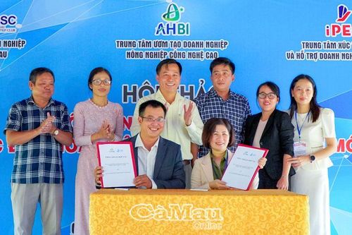 Thêm cơ hội thành công cho startup, doanh nghiệp