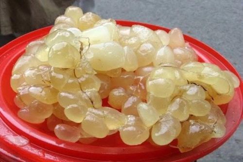 Công dụng bất ngờ của mỡ trăn