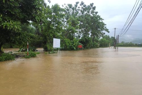 Lũ sông Lô dâng cao, người nuôi cá không kịp trở tay