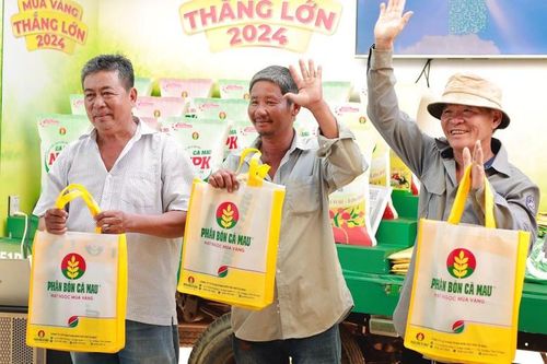 Phân bón Cà Mau tiếp tục mang 'Mùa vàng thắng lớn' tới nông dân mọi miền