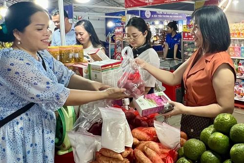 Khai mạc Hội chợ Công thương Nam Trung Bộ năm 2024