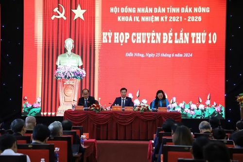 HĐND tỉnh thông qua Nghị quyết quy định về tiêu chí thành lập, số lượng thành viên và các mức chi hỗ trợ cho lực lượng tham gia bảo vệ ANTT ở cơ sở trên địa bàn tỉnh Đắk Nông