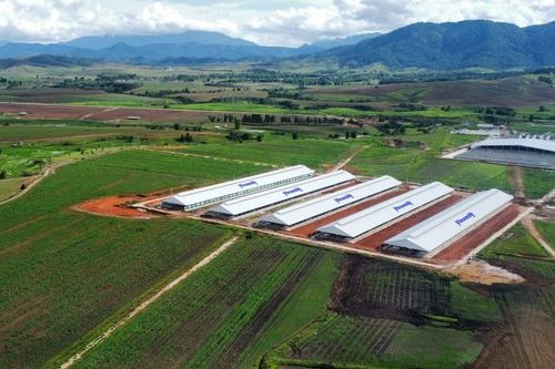 Kinh nghiệm từ những thành công