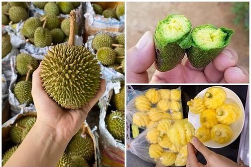 3 loại quả tí hon 'làm mưa làm gió' thị trường Việt