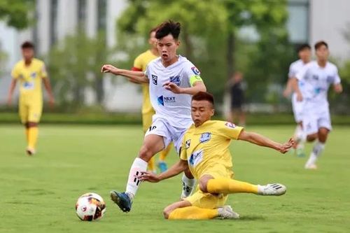 VFF ra quyết định quan trọng về cầu thủ Việt kiều
