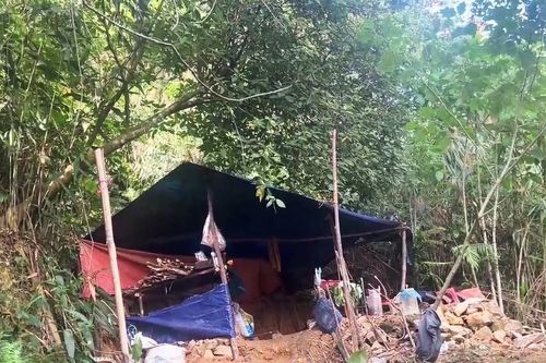 Quảng Nam vừa yêu cầu truy quét 'vàng tặc'