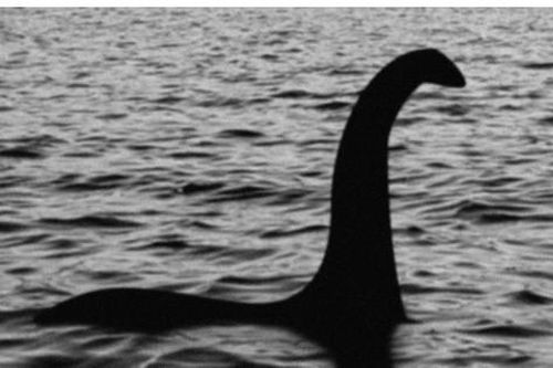 Vi khuẩn giống quái vật hồ Loch Ness có cách bắt mồi độc lạ