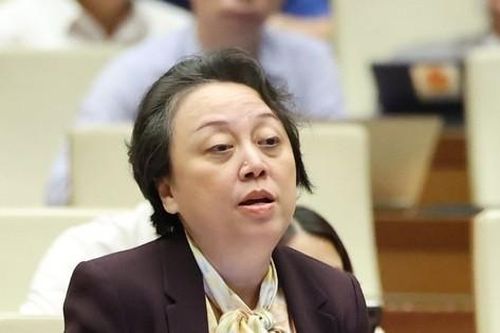 Đại biểu Phạm Khánh Phong Lan: Tuyệt đối không bán online đối với thuốc kê đơn