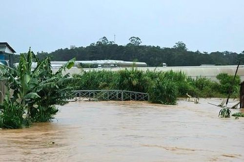 Mưa lớn kéo dài, nhiều nhà dân ở Đà Lạt bị ngập