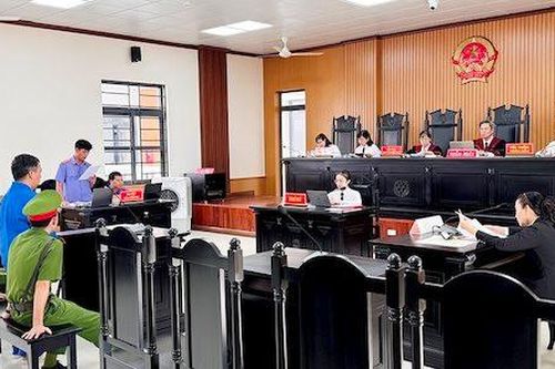 Lừa góp vốn kinh doanh để lấy tiền đánh bạc