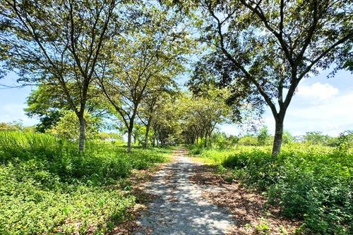 Công ty du lịch Giang Điền lừa bán hơn 1.200 nền đất trái phép
