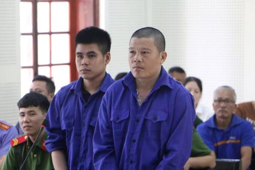 Tuyên án người vận chuyển xe gỗ trắc và vảy tê tê trị giá hàng chục tỷ đồng