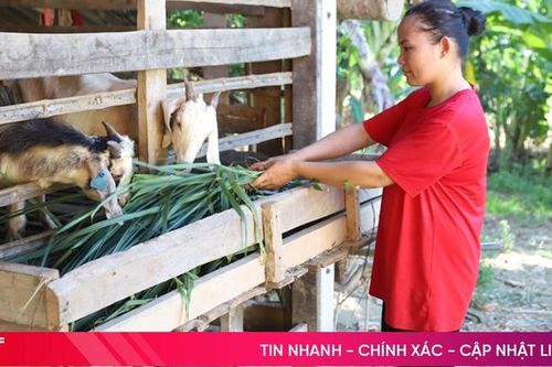 Xã miền núi Hương Sơn triển khai nhiều giải pháp giúp người dân thoát nghèo