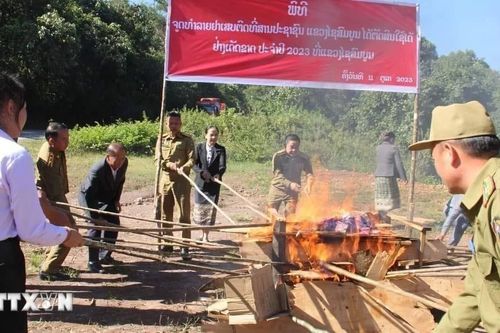 Các nước tiểu vùng sông Mekong mở rộng chung tay phòng chống ma túy