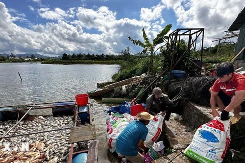 Lâm Đồng: Xác định nguyên nhân cá chết hàng loạt tại huyện Bảo Lộc