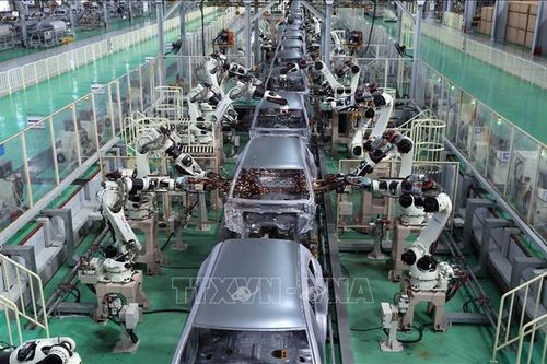 Đổi mới sáng tạo hướng tới Netzero - Sở hữu trí tuệ là nền tảng