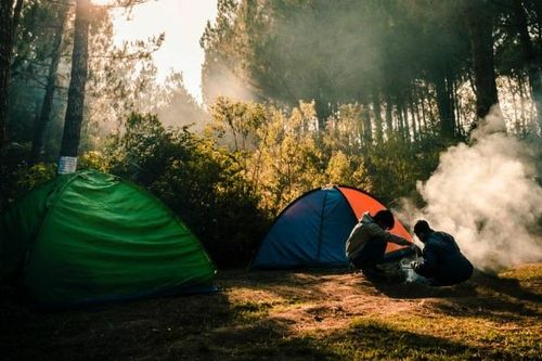Đây là cách tránh bị ốm khi đi cắm trại