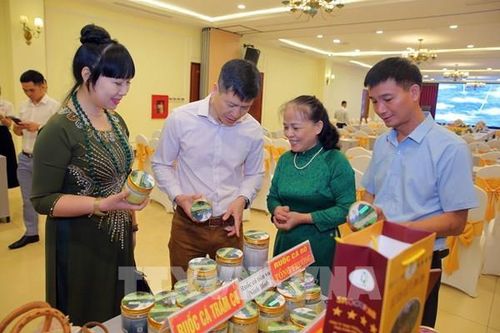 Đẩy mạnh kết nối cung cầu tiêu thụ nông sản