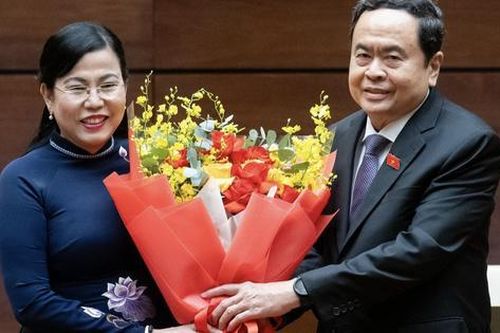 Bà Nguyễn Thanh Hải làm Trưởng ban Công tác đại biểu