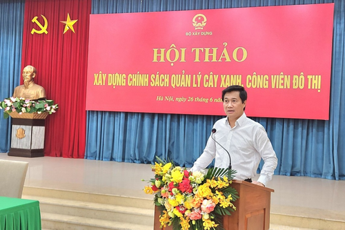 Nhiều bất cập được chỉ ra trong quản lý cây xanh, công viên đô thị