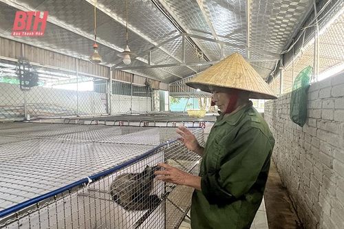 Nhân rộng mô hình nuôi con đặc sản