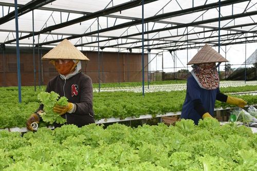 Kiến tạo phát triển từ tầm nhìn quy hoạch - Kỳ 2: Xây dựng ngành nông nghiệp sinh thái, hiện đại, thông minh