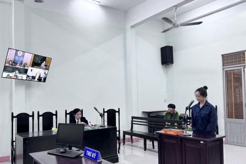Giảm án cho bị cáo dùng bản sao giấy tờ lừa hàng chục tỷ đồng