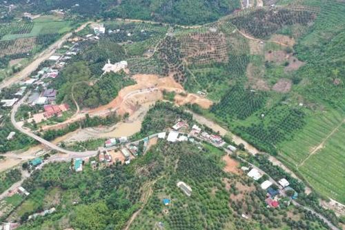 Khánh Sơn: Phát triển những vùng chuyên canh cây ăn quả