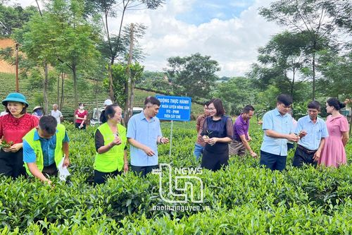 Xây dựng mô hình quản lý sức khỏe cây trồng tổng hợp