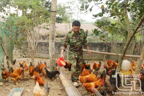 Thêm nguồn lực giúp nông dân phát triển kinh tế