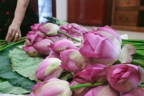 Tâm tình trong chén trà sen nức tiếng quận Tây Hồ