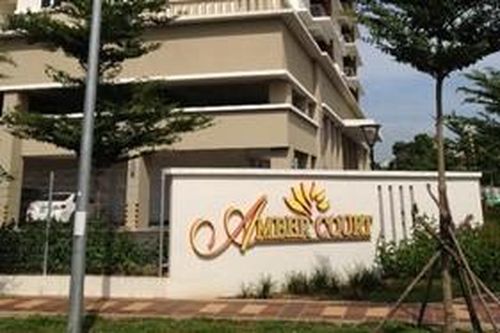 Đồng Nai: Xây dựng hồ bơi trên đất công viên cây xanh tại chung cư Amber court TP. Biên Hòa