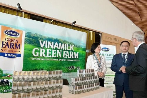 Doanh nghiệp Việt 'mang chuông đi đánh xứ người' và khát vọng toàn cầu