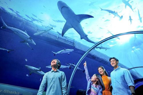 Những lưu ý cho gia đình có con nhỏ du lịch Singapore mùa hè