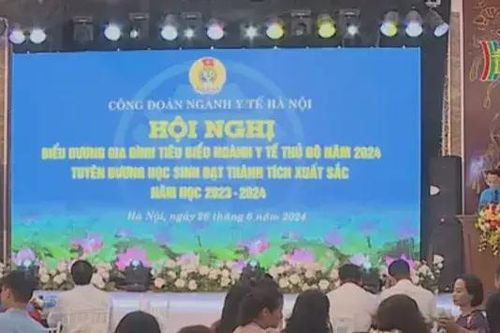 Biểu dương 164 gia đình tiêu biểu ngành Y tế năm 2024