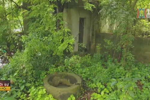 Hàng nghìn mét vuông đất nông trường sử dụng sai quy định