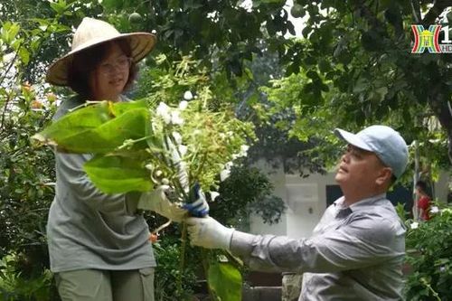 Xu hướng dịch chuyển ra ngoại thành sinh sống
