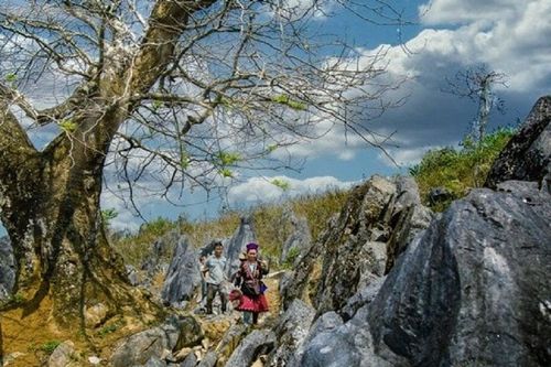 Khám phá vẻ đẹp hoang sơ trên cao nguyên đá Tủa Chùa