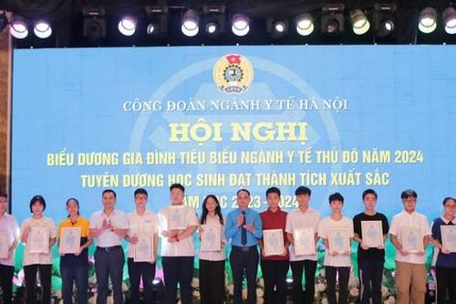 Biểu dương 164 cán bộ y tế xuất sắc trong phong trào xây dựng gia đình tiêu biểu năm 2024