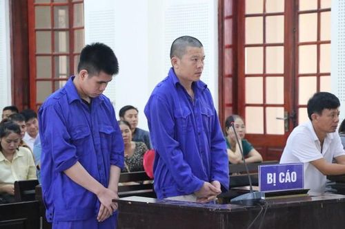 Lãnh án nặng khi chở 2,5 tấn vảy tê tê trị giá hơn 12 tỷ đồng