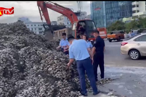 Cận cảnh 63 tấn hàu không nguồn gốc trị giá 1,5 tỷ đồng