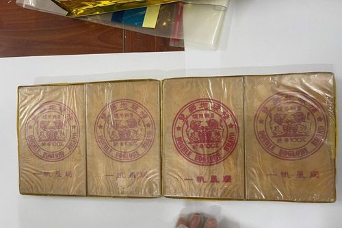 Hai mẹ con thuê nhà trọ cất giấu gần 12kg ma túy