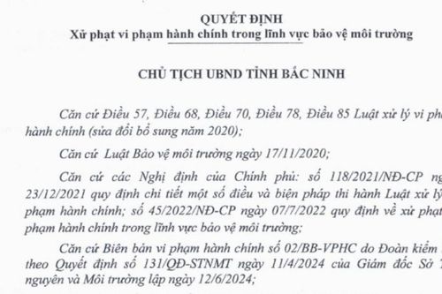 Bắc Ninh xử phạt Chi nhánh Công ty Haesung Tech 250 triệu đồng