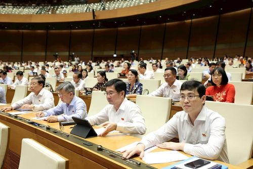 Cấm vợ, chồng, anh, chị, em ruột tham gia phiên đấu giá đối với cùng một tài sản
