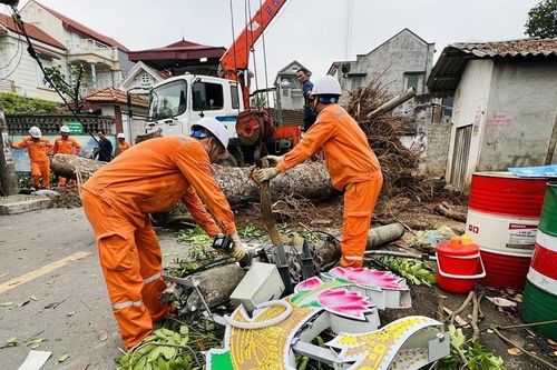 Vĩnh Phúc: thiệt hại lớn về kinh tế sau hai đợt dông lốc xảy ra
