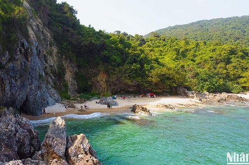 Một thoáng Sơn Trà