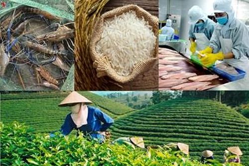 Bảo vệ nhãn hiệu đặc sản địa phương