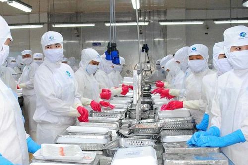 Cà Mau đề nghị Bộ NN-PTNT tháo gỡ khó khăn trong xuất khẩu tôm